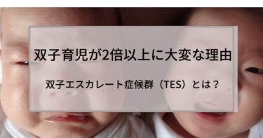 双子育児が2倍以上に大変な理由｜双子エスカレート症候群（TES）とは？